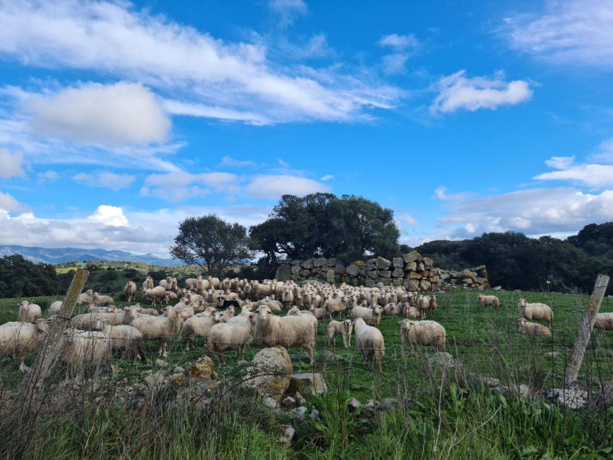 Agriturismo Sa Pigalva Tula Luaran gambar